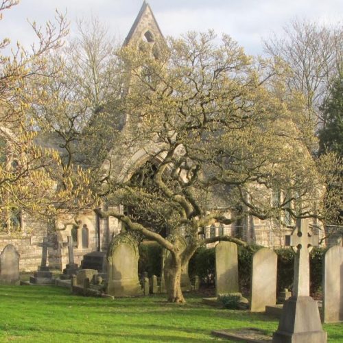 South Ealing Cemetery Chapel project - cropped gravestones